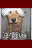 gastenboek